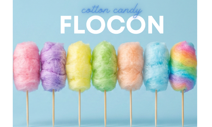 FLOCON (13)