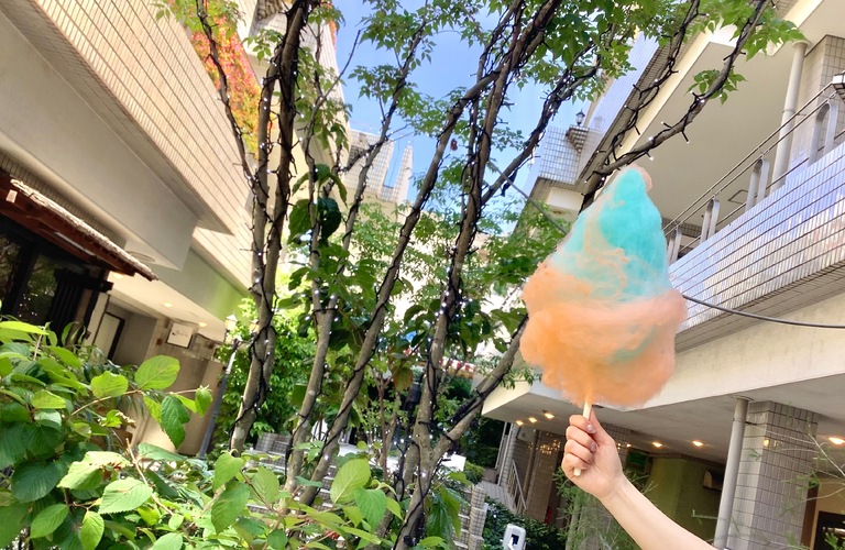 わたあめでおうちカフェ気分 | わたあめの通販ならFLOCON