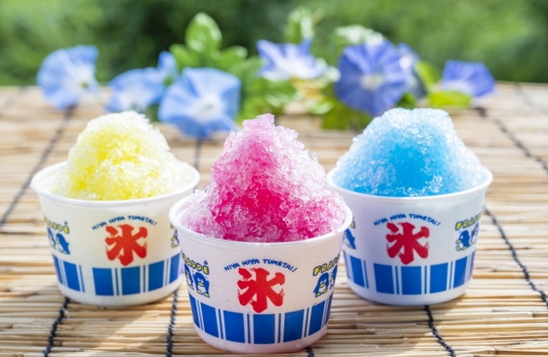 夏季限定のわたあめ ｜ わたあめの通販ならFLOCON